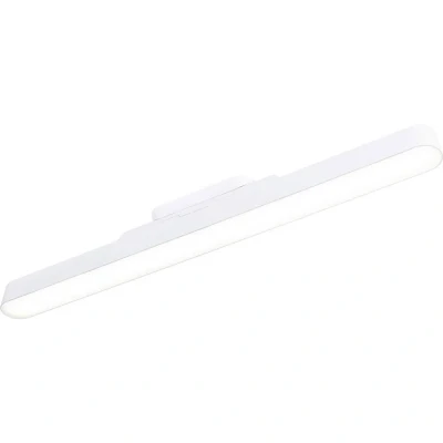 Afbeelding van Paulmann, Wandlamp + plafondlamp, Möbelaufbauleuchte Atali (310 lm)