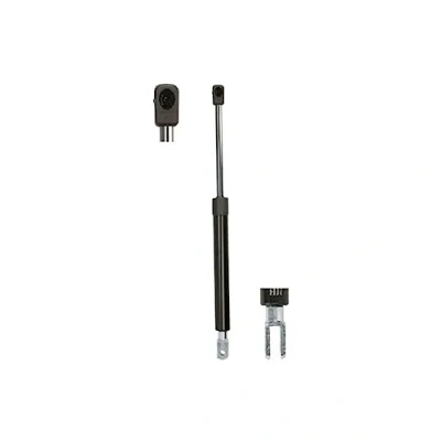 Afbeelding van LESJÖFORS 8162054 Gasveer achterklep Rechts achter NISSAN: Micra C+C 3