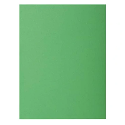 Afbeelding van Exacompta Ref. 210004E 100 stuks Rock&#039;s hardmappen 210 g/m² in felle kleuren PEFC gecertificeerde mappen afmetingen 24 x 32 cm voor DIN A4 kleur dennenboom