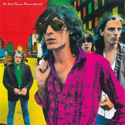 Afbeelding van Pleasure Ground (Coloured Vinyl)