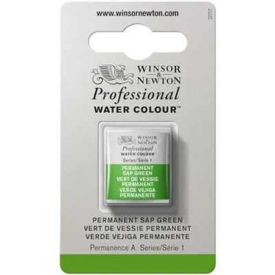 Afbeelding van Winsor &amp; Newton Professionele aquarelverf Aquarelverf, hoge helderheid, lichtecht, archiefkwaliteit, halve emmer, permanente blaasgroen