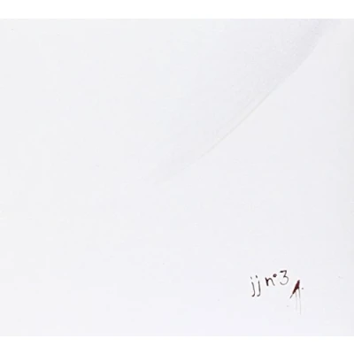Afbeelding van JJ No.3 (CD)