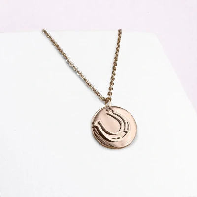 Afbeelding van Ponytail&amp;Co Hanger Munt met Hoefijzer Rosé Goud