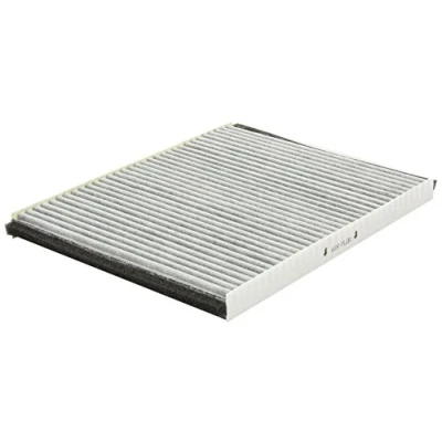 Afbeelding van CORTECO 80000416 Interieurfilter Carbon filter 262 193 20 NISSAN: TERRANO 2