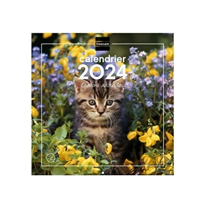 Afbeelding van Finocam, muurkalender met afbeeldingen, 30 x cm, ruimte voor notities, januari 2024 december (12 maanden), kittens, Nederlands