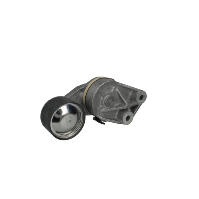 Afbeelding van DAYCO APV2400 Riemspanner