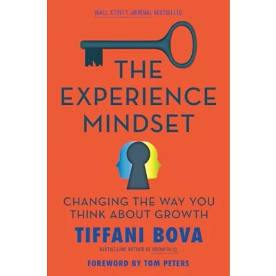 Afbeelding van The Experience Mindset