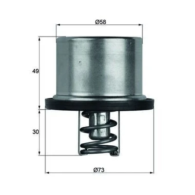 Afbeelding van Mahle Original Thermostaat TX 37 79
