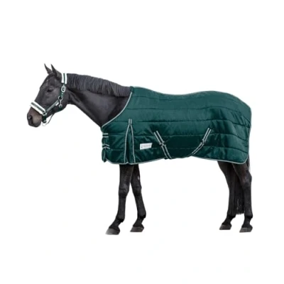 Afbeelding van Waldhausen Staldeken Economic 200g Spar Groen 145/195