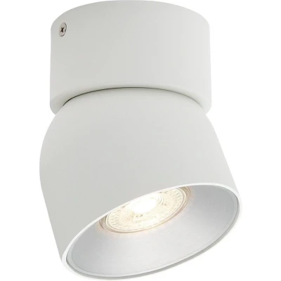 Afbeelding van Downlight Pitcher, GU10, 1 lamp, metaal, wit