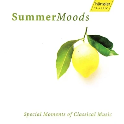 Afbeelding van Various Artists Summer Moods (CD)