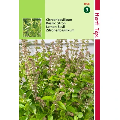 Afbeelding van 2 stuks Hortitops Basilicum Citroensmaak Lemon Basil Kemangi