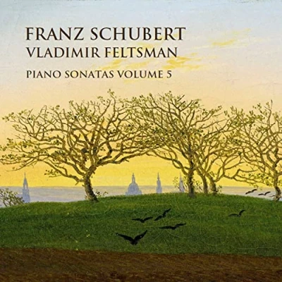 Afbeelding van Vladimir Feltsman Piano Sonatas Volume 5 (2 CD)