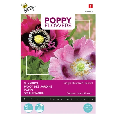 Afbeelding van Poppies of the world papaver slaapbol Buzzy