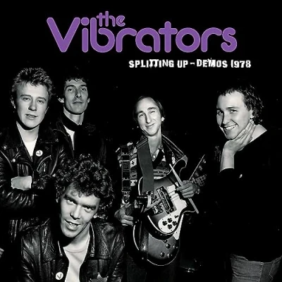 Afbeelding van Vibrators Splitting Up the Demos 1978 (LP)
