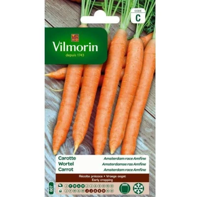 Afbeelding van Vilmorin Wortel Amsterdamse bak Amfine Daucus carota