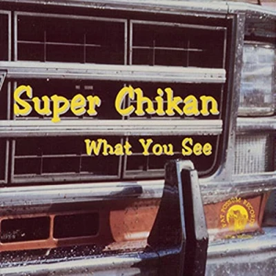 Afbeelding van What You See
