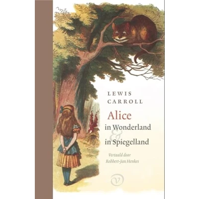 Afbeelding van Alice in Wonderland en Spiegelland