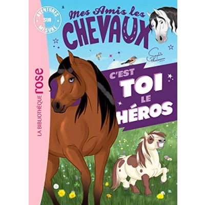 Afbeelding van Mes amis les chevaux aventure sur mesure xxl