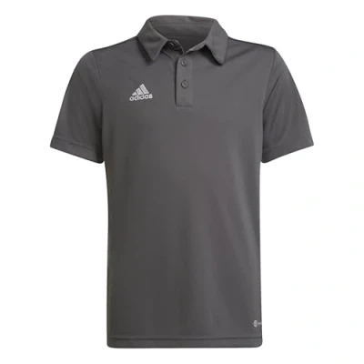 Afbeelding van adidas Entrada 22 Polo Youth Grijze Kids 116