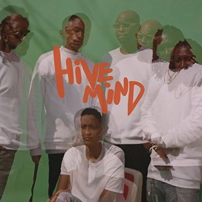 Afbeelding van the Internet Hive Mind (2 LPs)