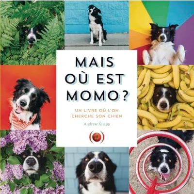 Afbeelding van Mais ou est momo