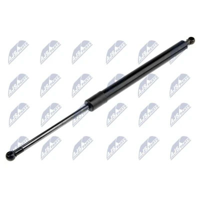 Afbeelding van NTY AE CH 002 Gasveer achterklep 680 429 Links achter