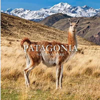 Afbeelding van Patagonia National Park: Chile