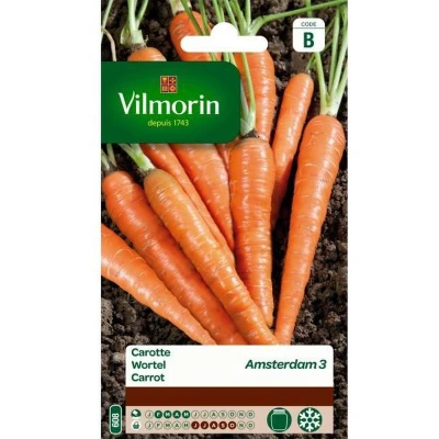 Afbeelding van Wortel Amsterdamse bak Daucus carota