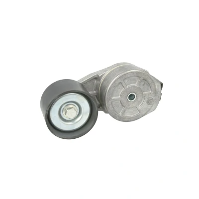Afbeelding van DAYCO APV3196 Riemspanner