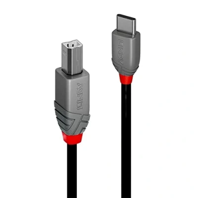 Image de Lindy Anthra Line Câble USB 24 pin C (M) pour type B 2.0 2 m noir