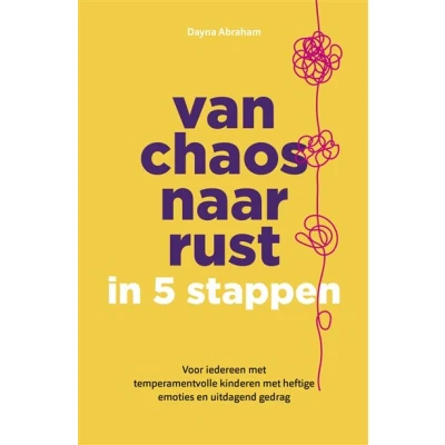 Image de Van chaos naar rust in 5 stappen