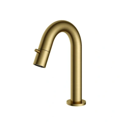 Afbeelding van HotBath Dude Fonteinkraan opbouw u uitloop 11.8cm PVD Geborsteld messing