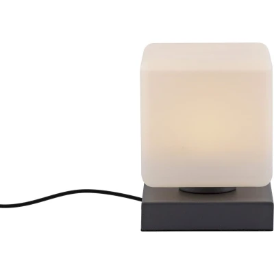 Afbeelding van Paul Neuhaus Dadoa Tafellamp Antraciet 5Watt incl. Dimmer
