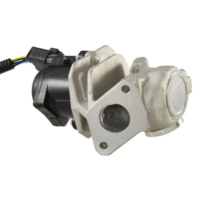 Afbeelding van HELLA 6NU 010 171 781 EGR klep Electrisch Met pakking, kabelset VOLVO: V50, C30, V70 3, FORD: Focus 2, C Max, 2 Kombi