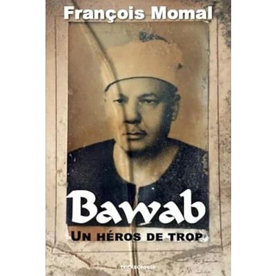 Afbeelding van BAWAB UN HEROS DE TROP