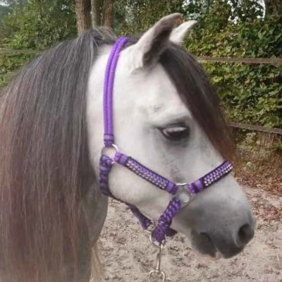Afbeelding van Pagony Deluxe Touwhalster paars maat:mini shetland