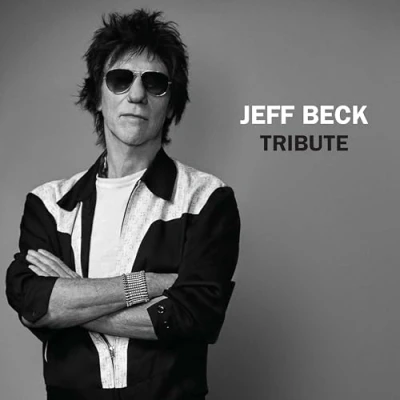 Afbeelding van Jeff Beck Tribute (LP)