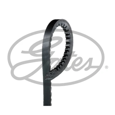 Afbeelding van Gates V riem 6506EXL