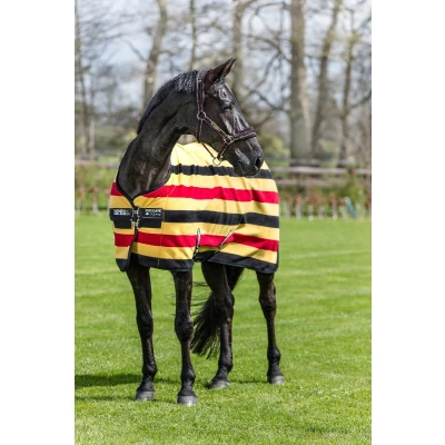 Afbeelding van Horseware Rambo Deluxe Fleece Witney Goud