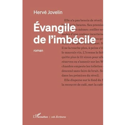 Afbeelding van Évangile de l’imbécile