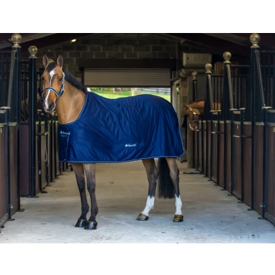Image de Bucas Shamrock Power Marin 145/198