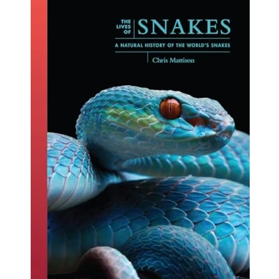 Afbeelding van The Lives of Natural World Snakes