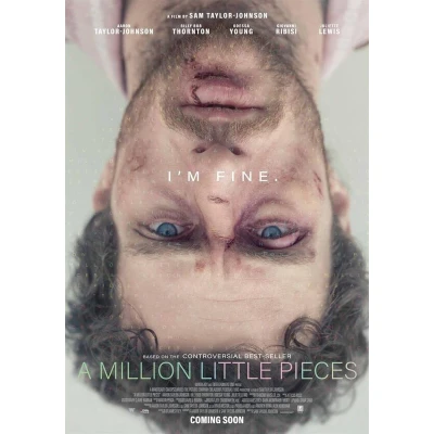 Afbeelding van Million Little Pieces (DVD)