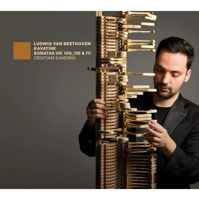Afbeelding van Cristian Sandrin Beethoven: Kavatine Sonates Op. 109, 110 &amp; 111 (CD)