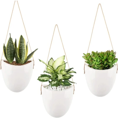 Afbeelding van Hangende muurplantenbakken keramische plantenhouder wit 3 stuks