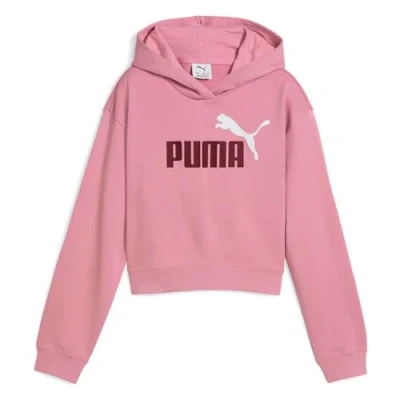 Afbeelding van PUMA Sweat à capuche Ess 2 couleurs n 1 pour fille avec logo Tr G (lot de 1)