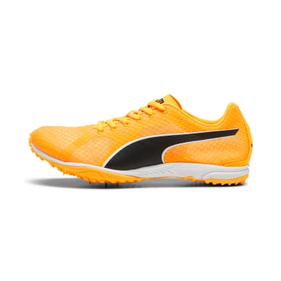 Image de Crampons dâ™athlÃ©tisme evoSPEED HarakaÂ 8