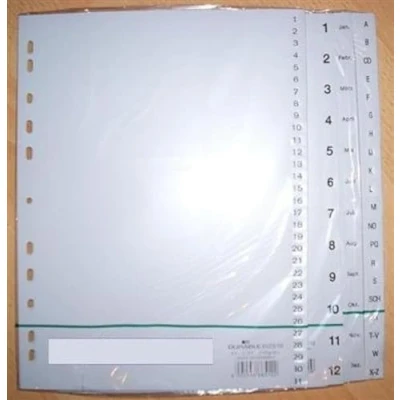 Afbeelding van Durable 651410 maandregister 12 vellen (A4, taben reliëf januari tot december, volledige omslag PP) 25 stuks, grijs