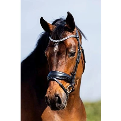 Image de HB Showtime Bride Jubileum Noir Cob